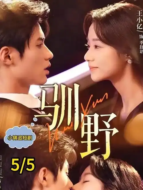 都市夜归人 短剧推荐